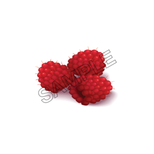 raspberry trio sample image png