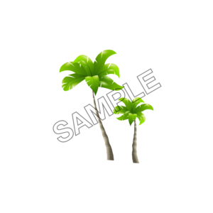 palm summer tree sample image png