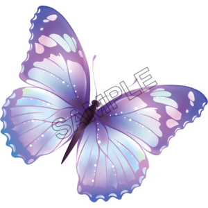 butterfly beautiful sample image png