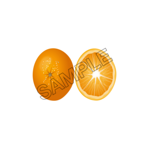 orange appetizing sample image png