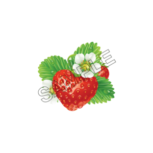 strawberry original sample image png  