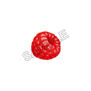 raspberry tempting sample image png