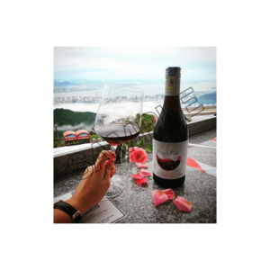 valentine s day glass of wine sample image jpg 