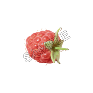 raspberry smooth sample image png