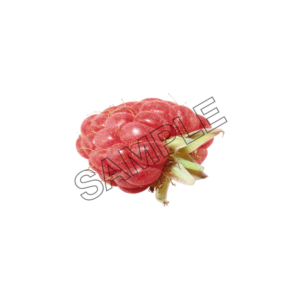 raspberry piquant sample image png