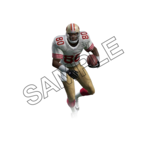 jerry rice sample image png