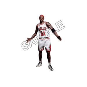 dennis rodman No.91  sample image png