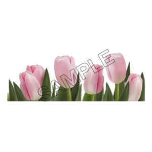 tulip punk color sample image png