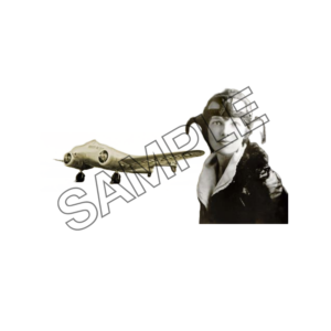 Amelia Earhart sample image png