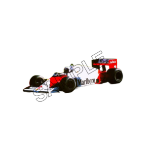 alan prost sample image png