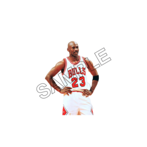 michael jordan sample image png