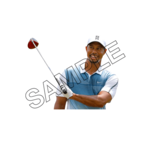 tiger woods sample image png 