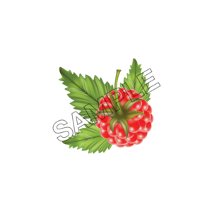 raspberry savory sample image png