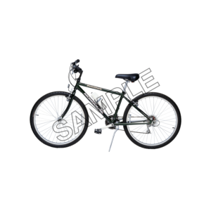 bicycle village sample image png