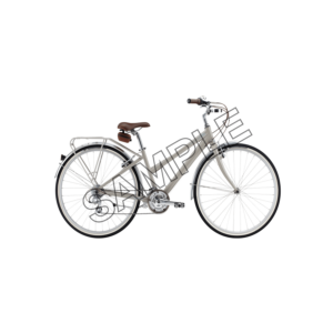 bicycle elegant sample image png