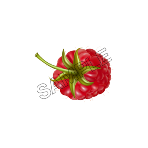 raspberry pleasant sample image png