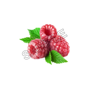 raspberry presentation sample image png