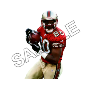 jerry rice  sample image png