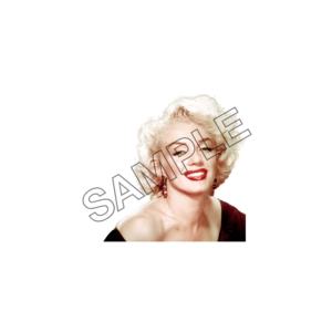 Marilyn Monroe Charm sample image png