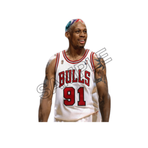 dennis rodman colored hair  sample image png