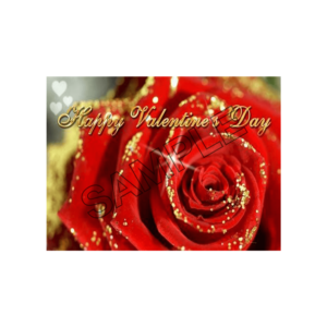 valentines day rose sample image jpg