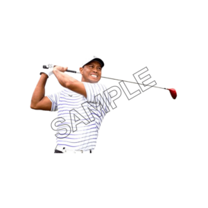 tiger woods hitting ball sample image png 