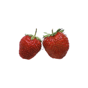 strawberry healthy sample image png 