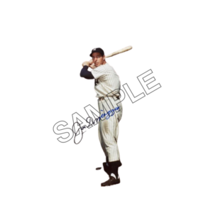 Joe DiMaggio New York Yankees baseball player sample image 