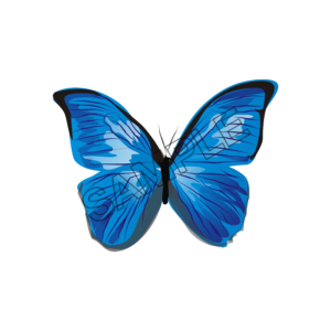 butterfly azure sample image png