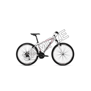 bicycle white color sample image png