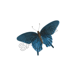 butterfly blue color sample image png