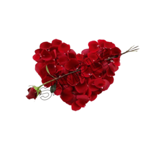 valentine day flower heart sample image png