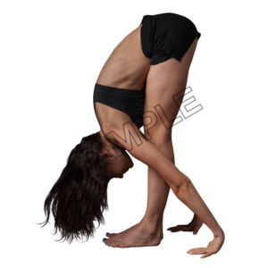 yoga stretching sample image png