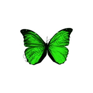 butterfly green sample image png