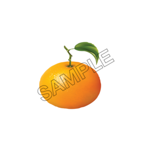 orange well-being sample image png