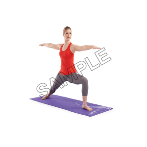 yoga stance sample image png