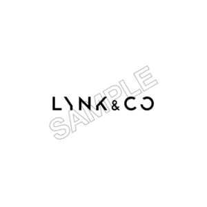 LYNC-CO car sample image png 