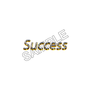 SUCCESS sample image png