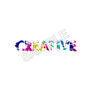 creative sample image png