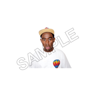 tyler the creator sample image png