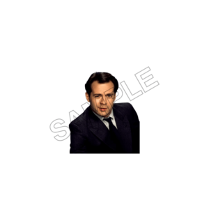 actor , comedian bruce willis sample image png