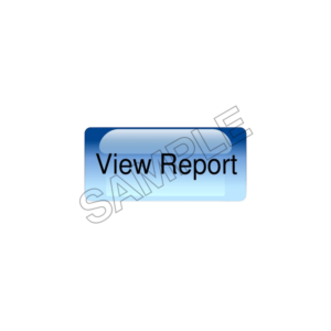 view report sample image png