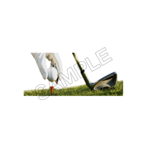 golf ball sample image png