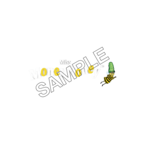 honey money bee sample image png