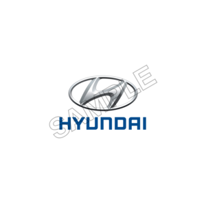 HYUNDAI car sample image png