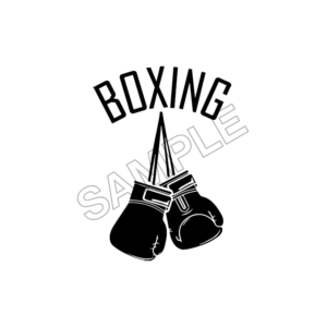 boxing sample image png