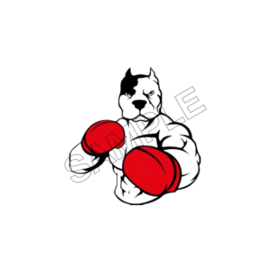 boxing sample image png