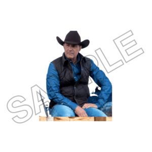 kevin costner sample image png