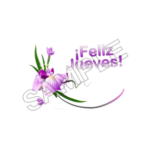 happy thursday sample image png