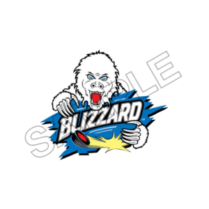 blizzard sample image png